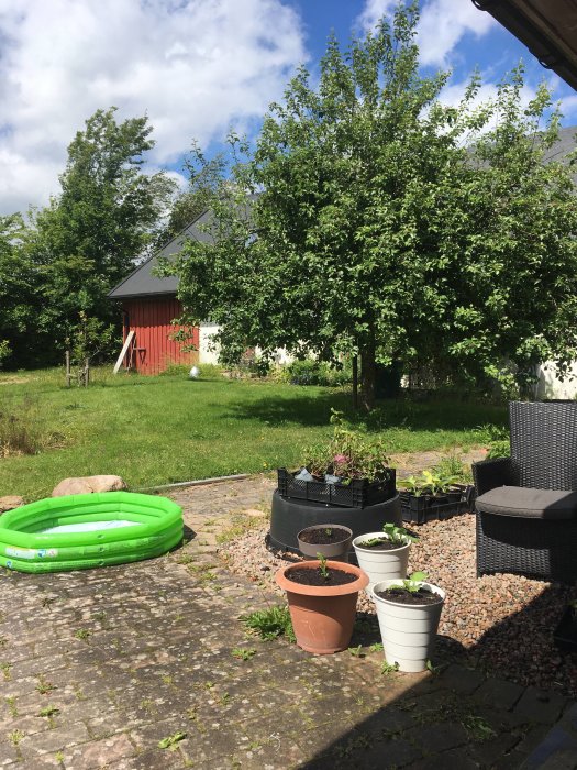 Trädgård med gröna växter, uppblåsbar bassäng, krukor, stenlagd mark, rött hus i bakgrunden, soligt väder.