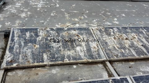 Smutsiga solpaneler behöver rengöras, täckta med fågelavföring och smuts, effektivitetsförlust, underhåll av förnybar energi.