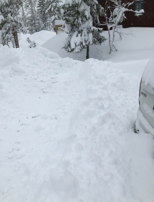 Täckt i snö, bil syns till höger, snötyngda träd, fotspår, vinterlandskap, hus delvis dolt.