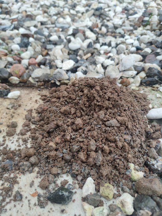 Ett litet berg av jord blandat med grus och sten på en brokig mark.