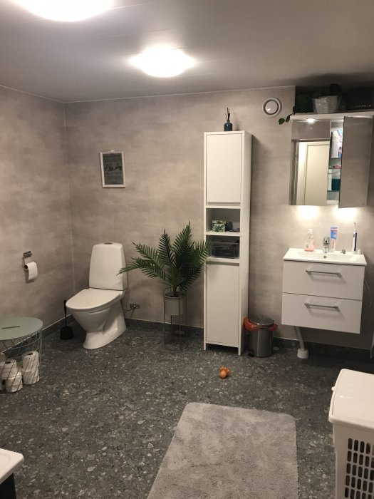 Ett modernt badrum med toalett, handfat, spegelskåp, och gröna växter. Grå toner dominerar.