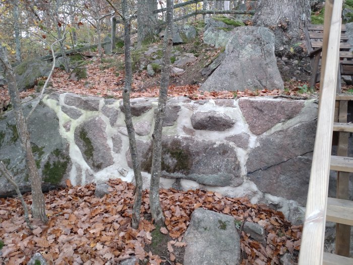 Stenar och mur i skog, höstlöv på marken, del av trätrappa, naturlig terräng.