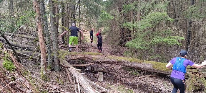 Personer i träningskläder vandrar i skogen, korsar fallna träd och terräng.