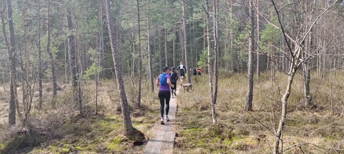 Människor vandrar på stig i skog, träd, spång, dagtid, aktiv friluftsliv, naturupplevelse, motion, frisk luft.