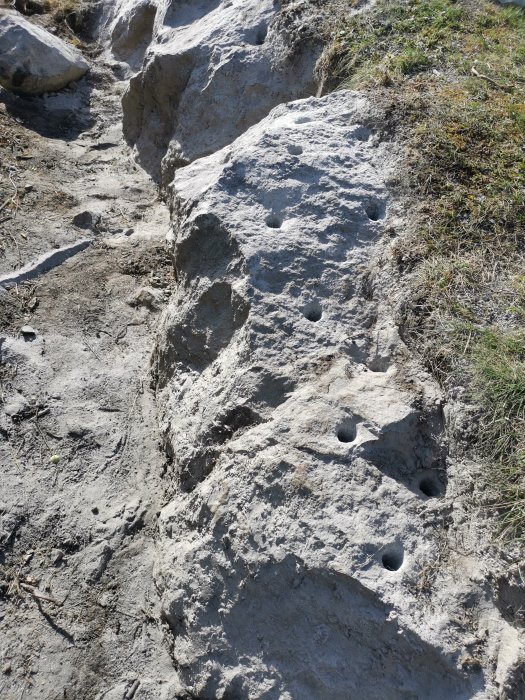 Erosionsbildad, kalkstenstig med hål, naturligt ljus, dagtid, ingen människa, utomhus, grå, grön vegetation.