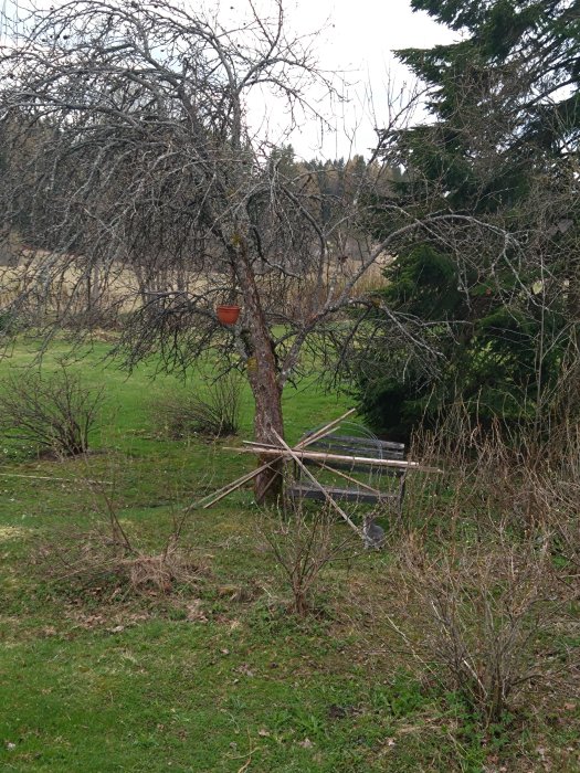 Trädgård med nakna träd, grönt gräs, en hängande kruka och en bänk i bakgrunden.