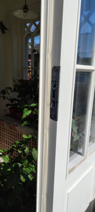 Dörrkarm med kodlås och vitmålade lister, insyn i växtrik veranda, solljus, dagtid.