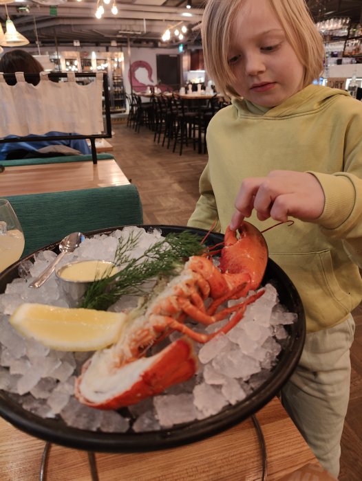 Ett barn undersöker en kokt hummer på is med citron i restaurangmiljö.