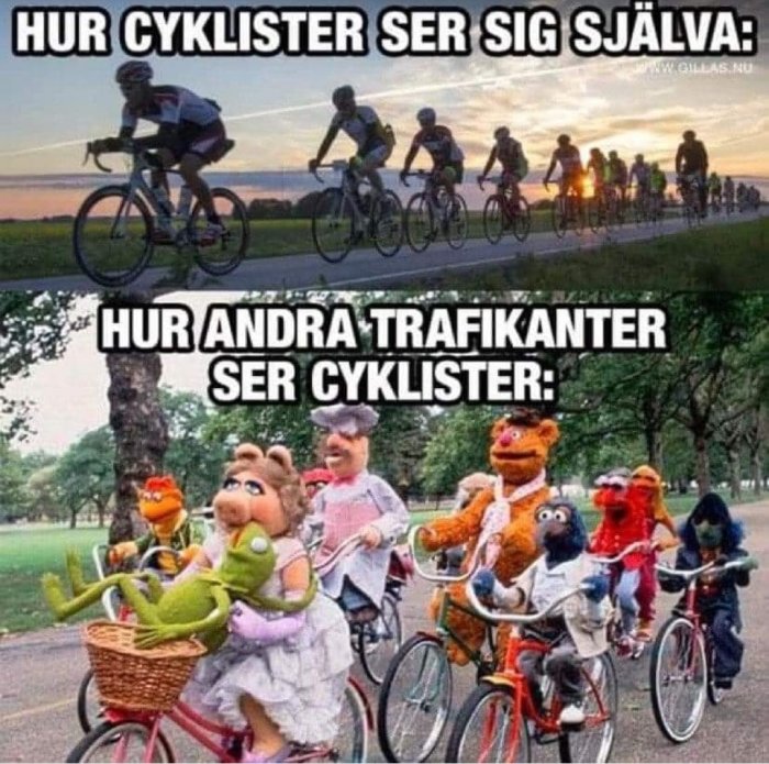 Humoristisk jämförelse mellan seriösa cyklister och Muppar på cyklar som representerar andra trafikanters perspektiv.