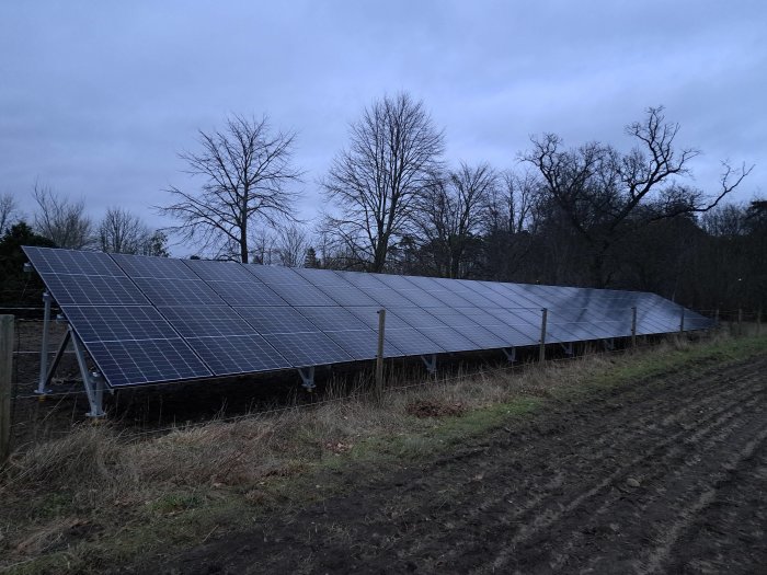 Stor solpanelinstallation i ett skymmande landskap, omgiven av träd och en stig.