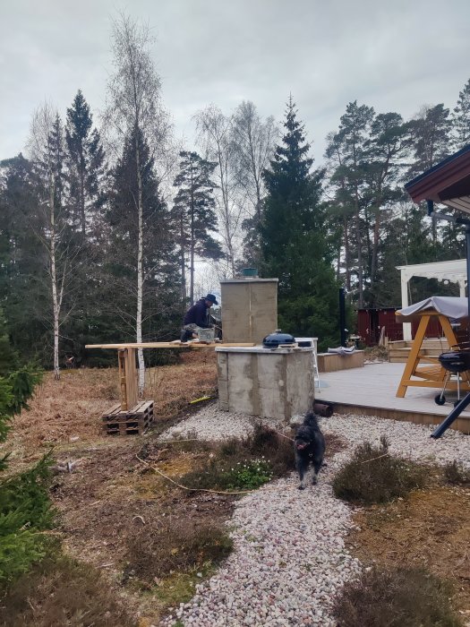 Utomhusarbete vid hus, person bygger, hund i förgrunden, skogsmiljö, grå himmel.