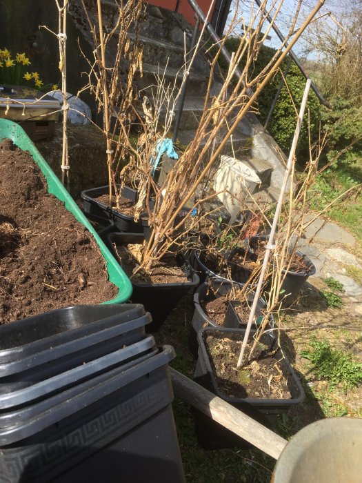 Trädgårdsarbete, krukor med växter, jordsäck, staplade svarta plastbackar, utomhus, dagtid, till synes vårlig trädgårdsmiljö.