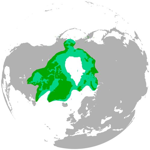 Stiliserad planetjord med grön markering som sannolikt representerar ett specifikt område eller koncept, på grå bakgrund.