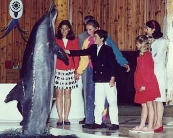 Människor i retrokläder tittar på uppträdande delfin inomhus, nostalgisk, gammalt foto, glädje, show, interaktivt evenemang.