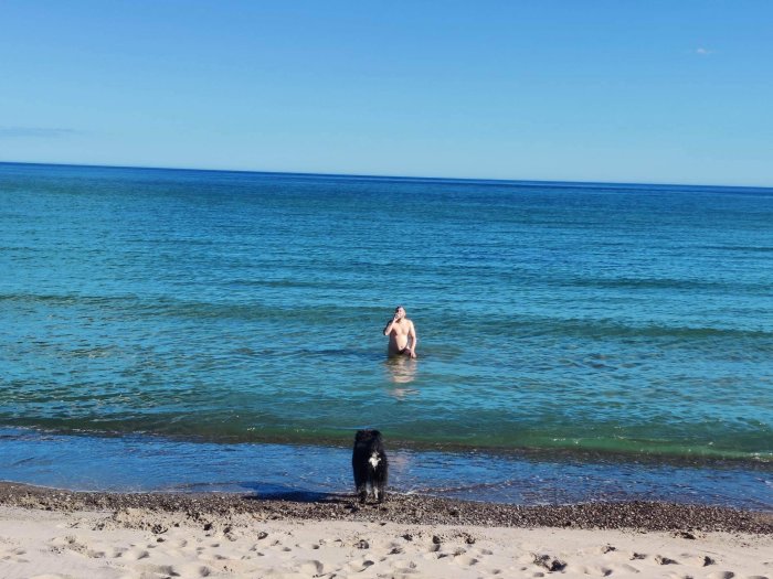 Person i vatten, hund på strand, klar himmel, lugnt hav, avkopplande sommardag.