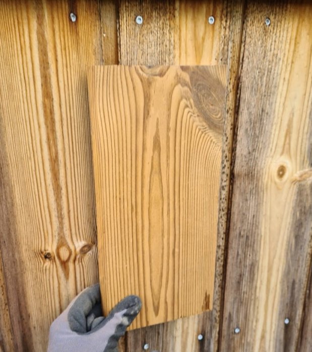 Händer i arbetsvante som håller en träplanka mot ett staket för färgmatchning.