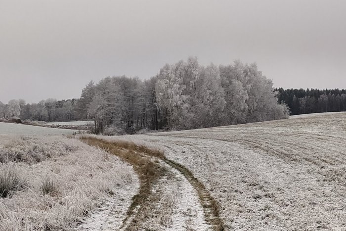 Vintrigt landskap, frost, snö, kurvig väg, träd, öppna fält, molnig himmel, lugn, naturen i vila.