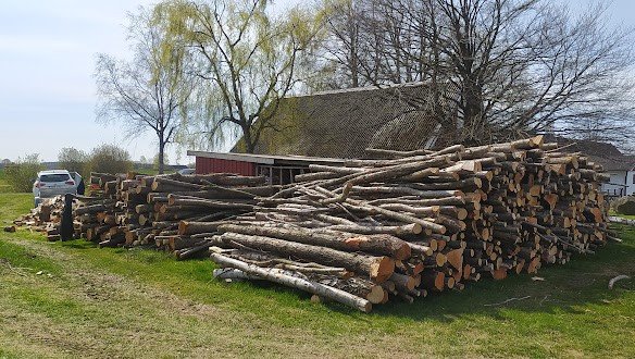 Stor trädstapel framför lantgård, bil i bakgrunden, klart väder, vår eller sommar.