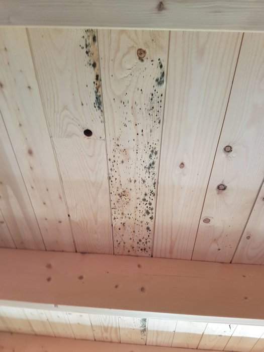 Trätak med mögel eller smuts, troligen vattenläckage relaterat, behov av underhåll eller rengöring.