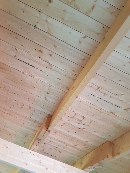 Trätak med synliga bjälkar, nybygge eller renovering, naturligt ljus, enkel konstruktion.
