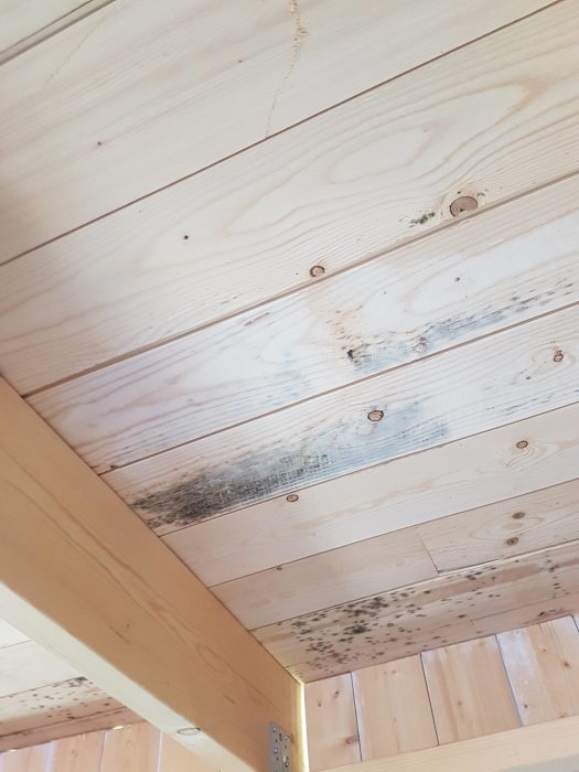Träbjälklag med synliga tecken på mögel eller fuktproblem.