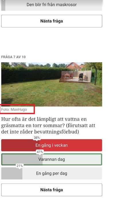 Quizfråga med bild på trädgård, vattenslang, resultat visar "Varannan dag" mest populärt svar.