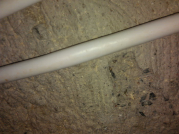 IMAG0315_800x600.jpg