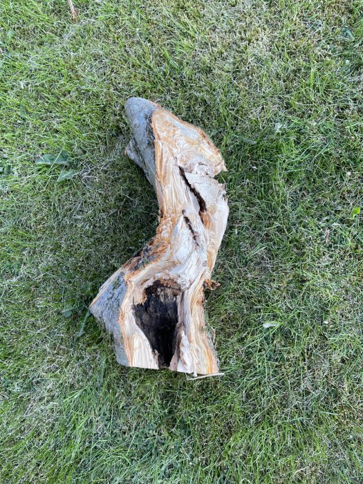 Trädstam skadad och brutet, ligger på grönt gräs, möjlig stormskada eller trädfällning.