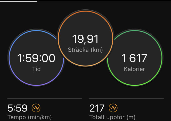 Träningsapp visar löpning: tid 1:59:00, sträcka 19,91 km, 1617 förbrända kalorier, tempo 5:59 min/km, höjd 217 meter.