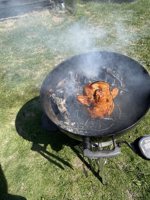 Grillat kyckling över öppen eld på en rund grill på en solig gräsmatta.