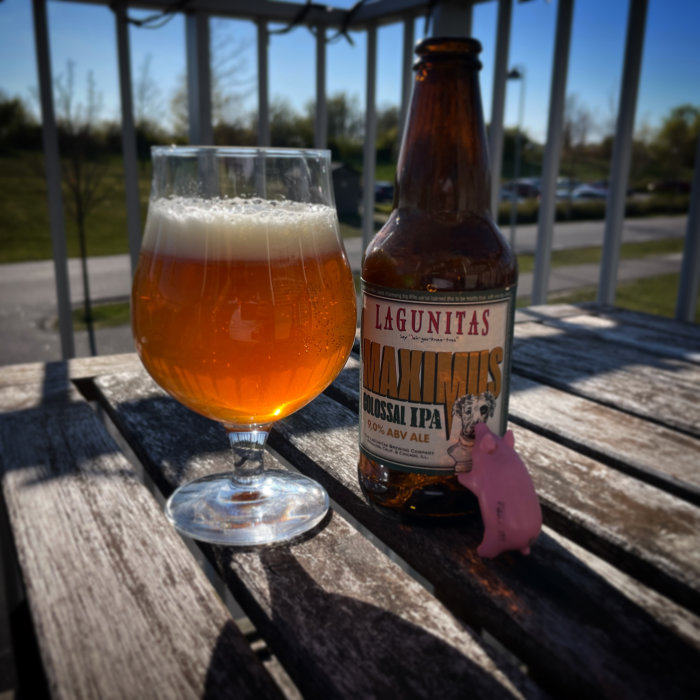 Ölglas och flaska på ett träbord utomhus, soligt, liten rosa plastgris, "Lagunitas Maximus" India Pale Ale.