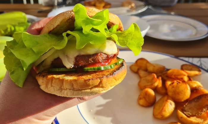 En hand håller en cheeseburger med sallad och tomat, med stekt potatis som tillbehör på en tallrik.