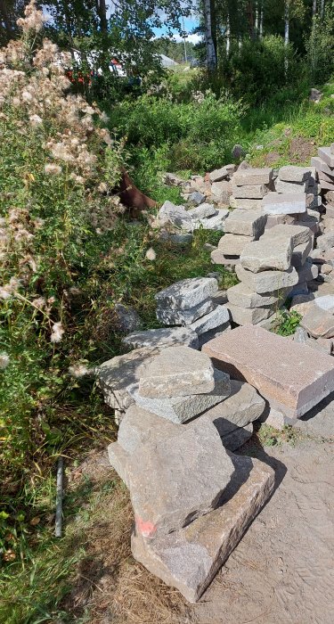 Stapelade stenplattor utomhus, grönska, delvis soligt och stadsinfrastruktur i bakgrunden.