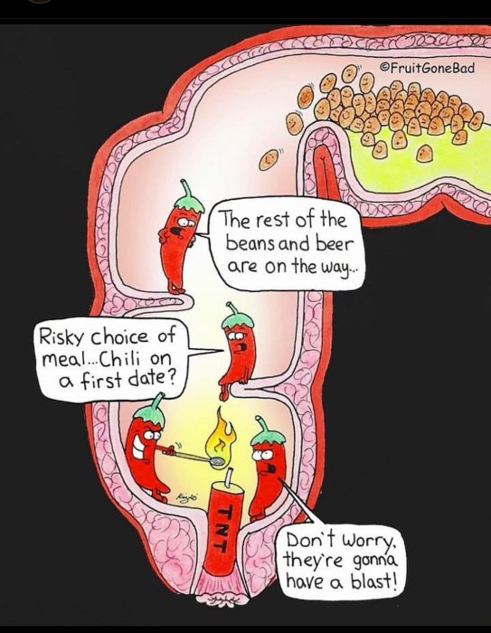 Tecknad bild av chili, bönor och öl i mag-tarmkanalen, skämtar om konsekvenser av kryddstark mat.