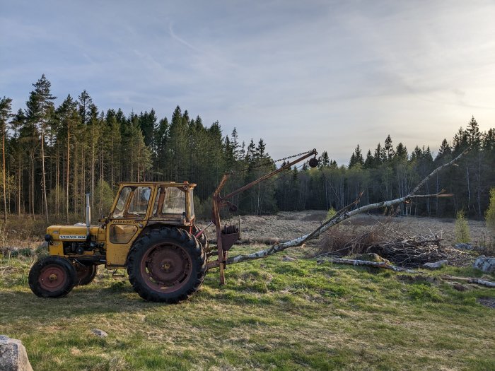 Gul traktor i naturen, skog bakgrund, grenar, kvällsljus, klar himmel, ingen person synlig, Volvo BM.