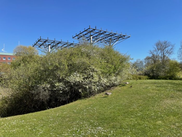 Grön park, blå himmel, obeklädda metallkonstruktioner, buskar och gående fåglar.