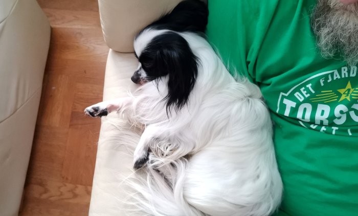 En svartvit hund sover bredvid en person i en grön tröja på en beige soffa.