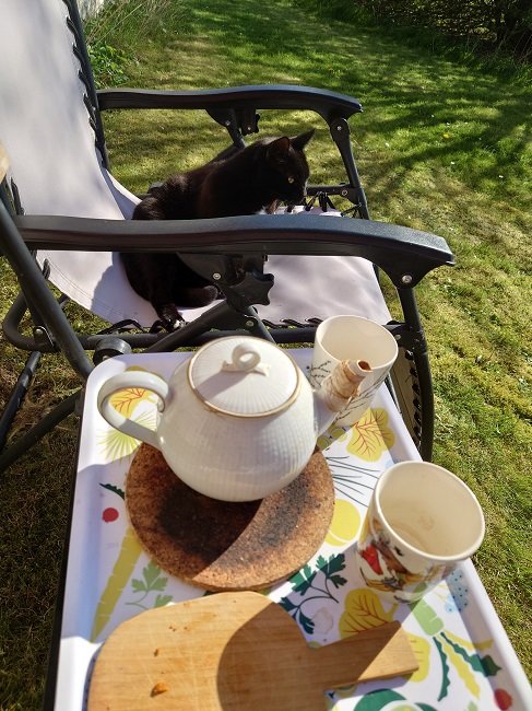 Trädgård, solsken, svart katt i solstol, tekanna, två koppar, bricka, avslappnad stämning.