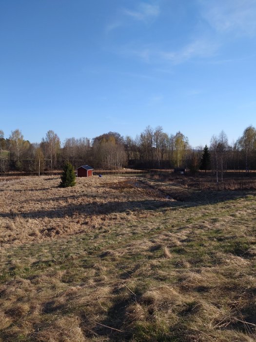 Naturvy med klart himmel, fält, träd, rött skjul, urban bakgrund med byggnader i fjärran.