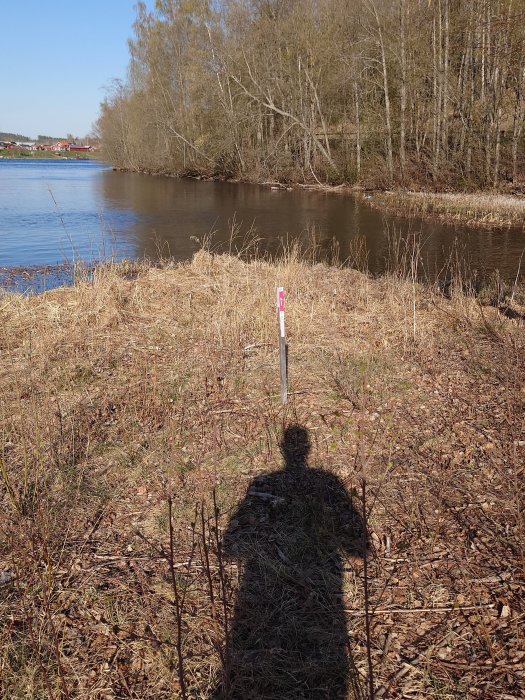 Skogsbryn vid flod, klar himmel, skugga av person i förgrunden, skyltstolpe, tidig vår.