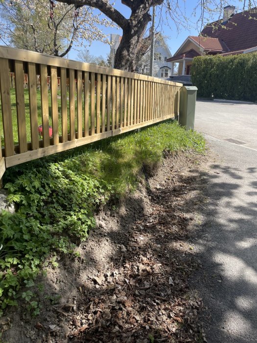 Trädgårdsstaket, grönska, löv, vår, skuggor, solsken, hus, asfalt, soptunna, fredligt bostadsområde, dagtid.