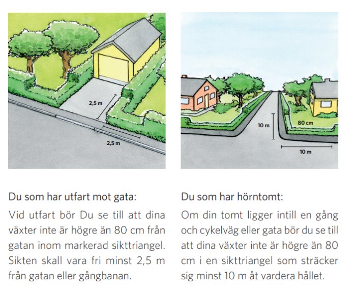 Två diagram som visar regler för växtlighet nära vägar för bättre sikt och trafiksäkerhet.