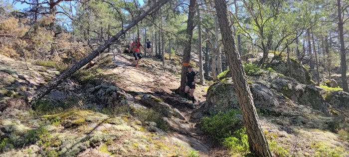 Vandrare i skog, stenig stig, tallar, soligt, mossövertäckt mark, avslappnad stämning, friluftsliv, utomhusaktivitet.