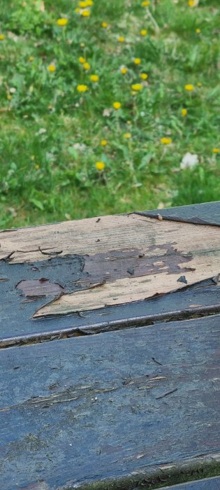 Slitet träbord framför suddiga grönområden och gula blommor. Utomhus, slitage, naturen i bakgrunden.