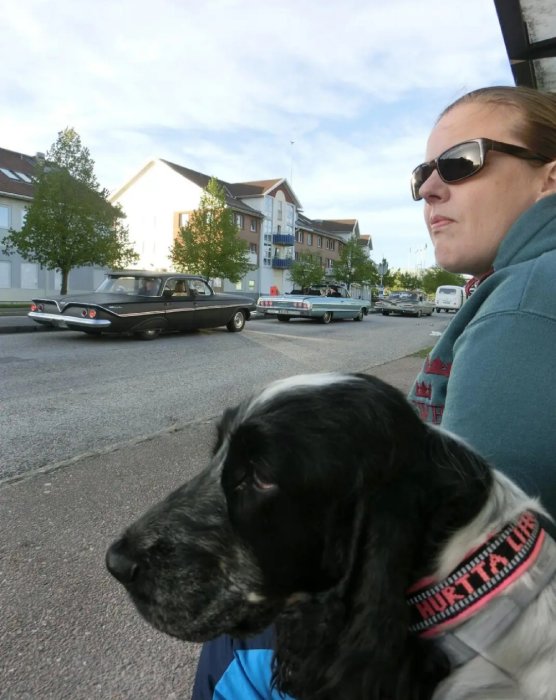 Kvinna och hund tittar åt olika håll, stadsmiljö, klassiska bilar, soligt, avslappnad atmosfär.