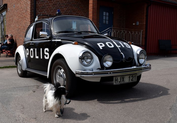 Klassisk Volkswagen Beetle polisbil med texten "POLIS", en hund framför och personer i bakgrunden.