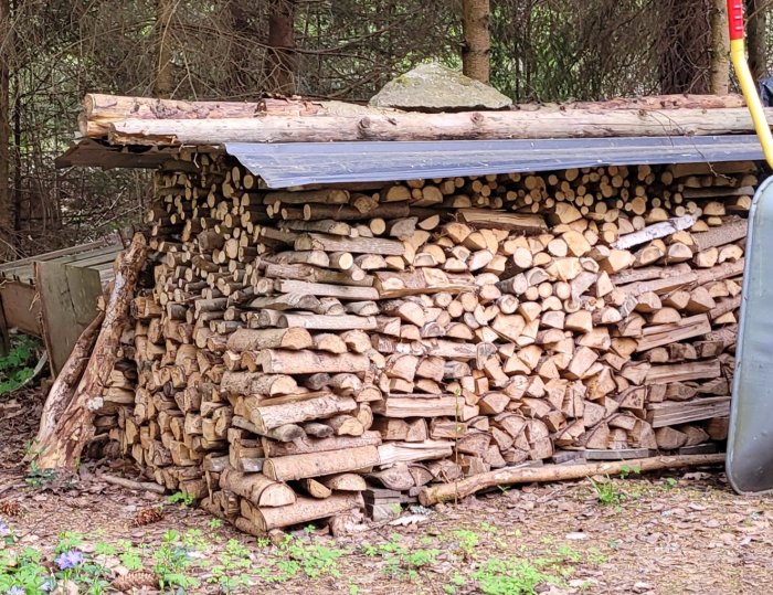 Vedhög staplad under tak, skog runtomkring, del av grå behållare synlig högerkant.