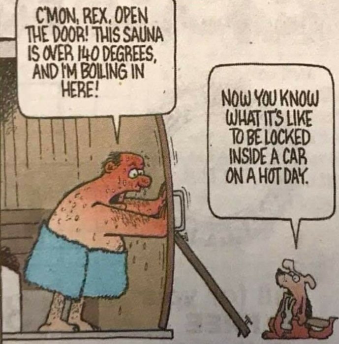 En tecknad bild som visar en het bastu, en svettande man och en hund med en läxa om empati.
