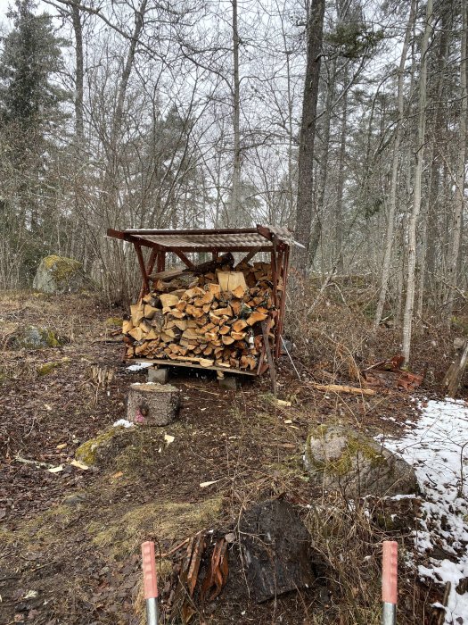 Ett vedskjul fyllt med staplad ved i ett skogsområde, delvis snötäckt mark, molnig dag.