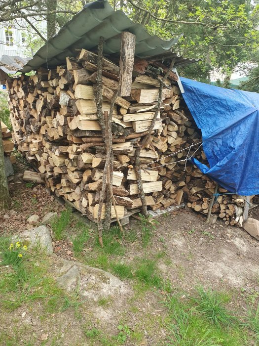 Stapelad ved, presenning, träd, natur, rustik vedbod utomhus på dagtid.